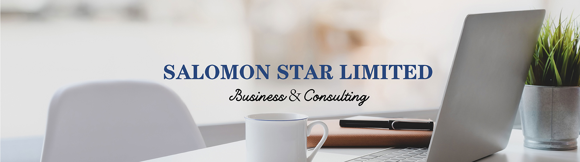 Salomon star Limited is professional trading company in China.